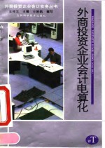 外商投资企业会计电算化