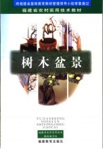 树木盆景  第2版