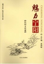 魅力宁阳  民间文化卷