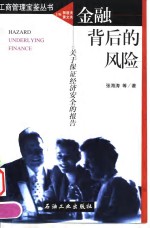 金融背后的风险  关于保证经济安全的报告
