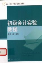 初级会计实验<em>教程</em>