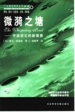 微漪之塘  宇宙进化的新图景