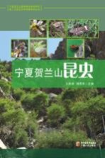 <em>宁夏</em><em>贺<em>兰山</em></em>昆虫