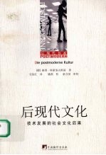 后现代文化  技术发展的社会文化后果
