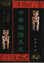 中华族谱集成  <em>王氏</em>谱卷  第7册