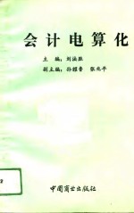 会计电算化