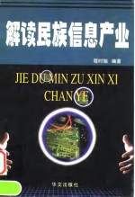 解读民族信息产业