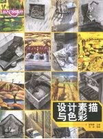 设计素描与<em>色彩</em>