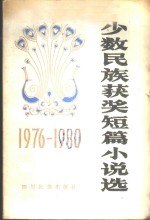 少数民族获奖短篇小说选