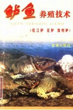 鲈鱼养殖技术  松江鲈  花鲈  加州鲈