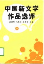中国新文学作品选评  中