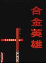 合金英雄  见证中国惠普20年