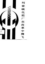 刘家峡<em>化肥</em>厂在改革中腾飞