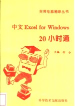 中文<em>Excel</em> <em>for</em> <em>Windows</em> 20小时通