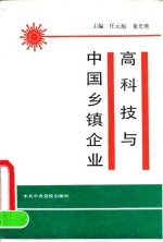 高科技与中国乡镇企业