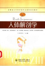 人体解剖学
