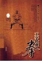 工字伏虎拳  经典珍藏版