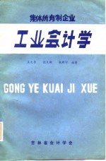 集体所有制企业  工业会计学