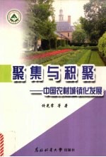 聚集与积聚  中国农村城镇化发展