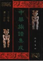 中华族谱集成  <em>王氏</em>谱卷  第14册