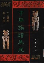 中华族谱集成  <em>王氏</em>谱卷  第13册