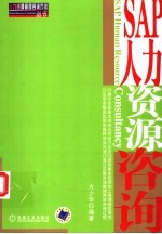 <em>SAP</em>人力资源咨询