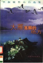 大雁落脚<em>的</em>地方  毕淑敏<em>作品</em><em>自<em>选集</em></em>