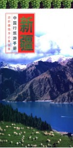 中国行旅游手册  新疆行