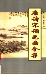 唐诗宋词元曲全集  唐宋全词  第2册