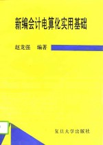 新编会计电算化实用基础