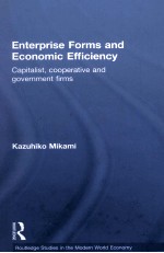 ENTERPRISE FORMS AND <em>ECONOMIC</em> EFFICIENCY CAPITALIST COOPERATIVE AND GOVEMMENT FIRMS