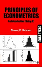 PRINCIPLES OF <em>ECONOMETRICS</em>:AN <em>INTRODUCTION</em>(USING R)