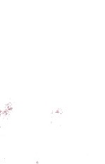 <em>The</em> Bases <em>Of</em> <em>Social</em> Behaviour