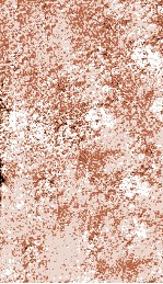 活幼心法  <em>卷</em>6-9  乾隆四十六年<em>大兴</em>堂藏版