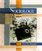 Sociolo<em>g</em>y Fourth Edition