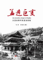 孟连巨变  从孟连事件到孟连经验