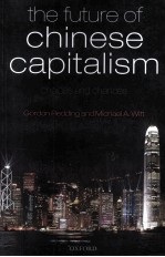THE FUTURE OF <em>CHINESE</em> CAPITALISM:CHOICES AND CHANCES