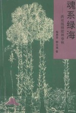 魂系绿海  西双<em>版纳</em>胶林春秋
