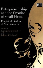 ENTREPRENEURSHIP AND THE CREATION <em>OF</em> SMALL FIRMS