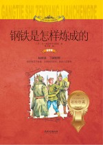 钢铁是怎样炼成的  注音版
