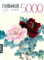 经典全集  白描画谱5000例  上  花卉蔬果