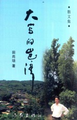 红树林文丛  大写的岜湾