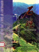 石魂  五亿年前地球生命的摇篮