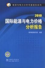 国际能源与电力价格分析报告  2010