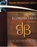 USING ECONOMETRICS <em>A</em> PR<em>A</em>CTIC<em>A</em>L GUIDE
