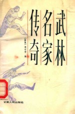 武林名家<em>传奇</em>  续集