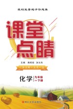 课堂点睛  化学  九年级  下