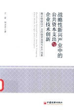 战略性新兴产业中的公共资本支出与企业<em>技术</em>创新  兼论物联网产业的融资选择与生产效果