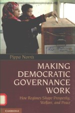 <em>Making</em> democratic governance work