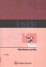 Inside torts what matters <em>and</em> why